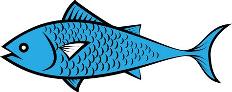 fish clipart png|Fish PNG, Vector And Transparent Clipart Images .